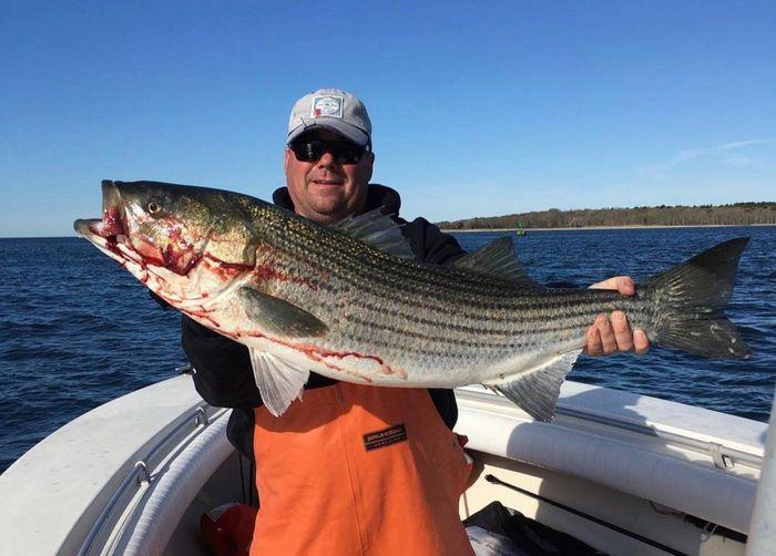 Meet Captain Ross and the Cape Cod Charter Guys