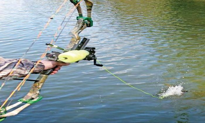 A Beginner's Guide to Bow Fishing: Everything You Need to Know