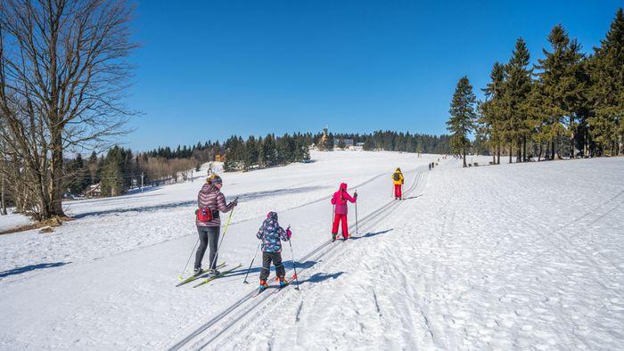 How to Become a Cross Country Ski Tour Guide