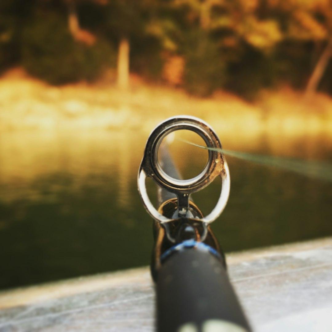 Best Fishing Spots Florida: Top Lakes & Saltwater Coasts